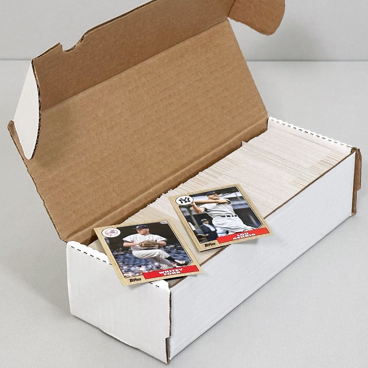 550 Count Storage Box