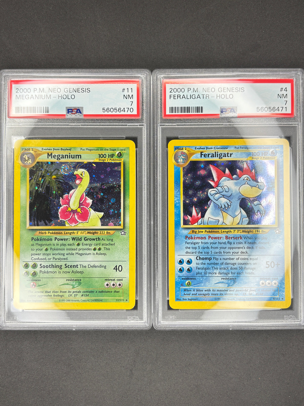 PSA 7 Sequential Set Meganium & Feraligatr Holo's Neo genesis