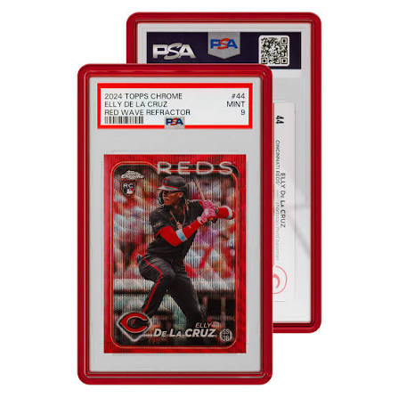 Graded Guard Jewel Slab Case
